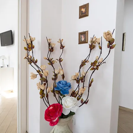 Alessandra- Comfort E Spazio A